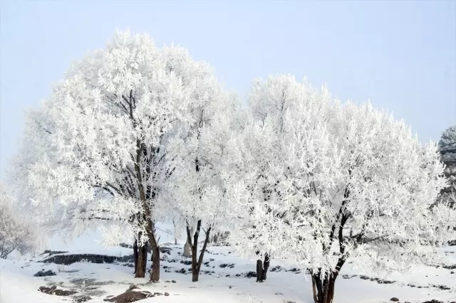 Ardahan'da termometreler eksi 24,8 dereceyi gösterdi