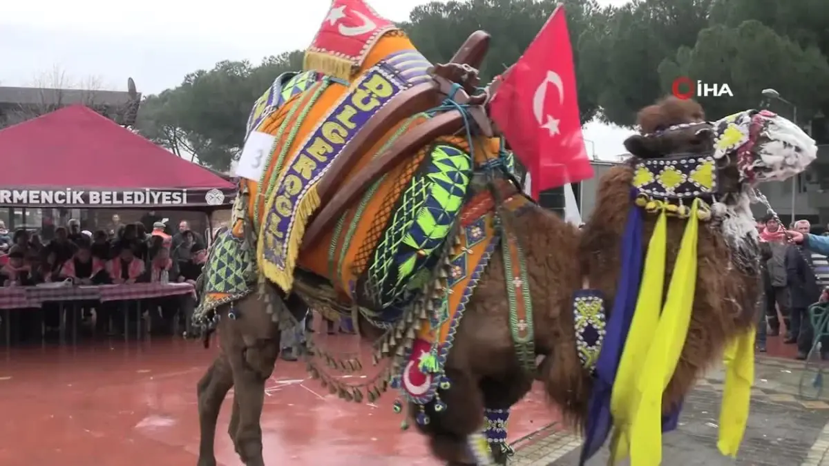 Develer Podyuma Çıktı, En Yakışıklısı Seçildi