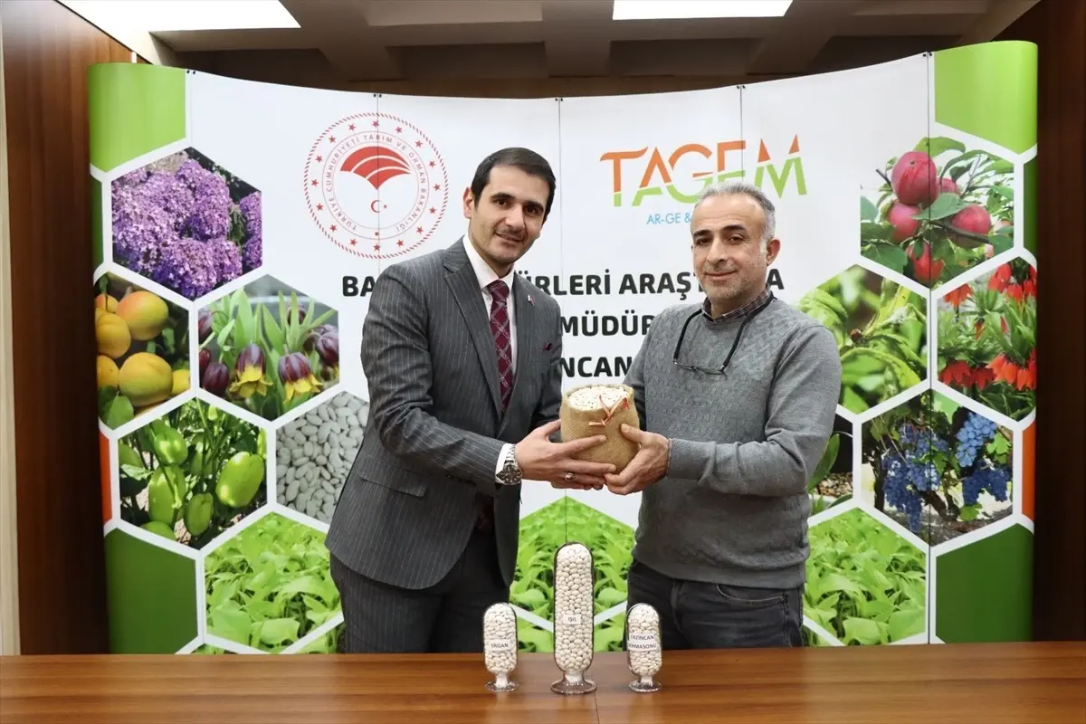 Erzincan\'da Kuru Fasulye Genotiplerine Tescil Başvurusu