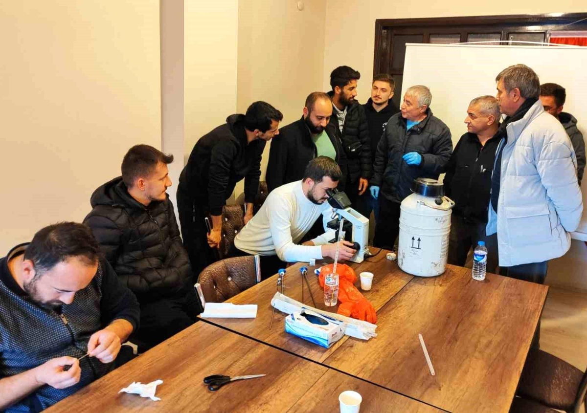 Kars\'ta Suni Tohumlama Eğitimi Tamamlandı