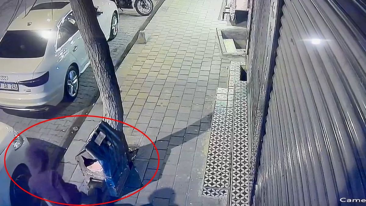 Sokak Kedileri İçin Yapılan Kedi Evine Saldırı