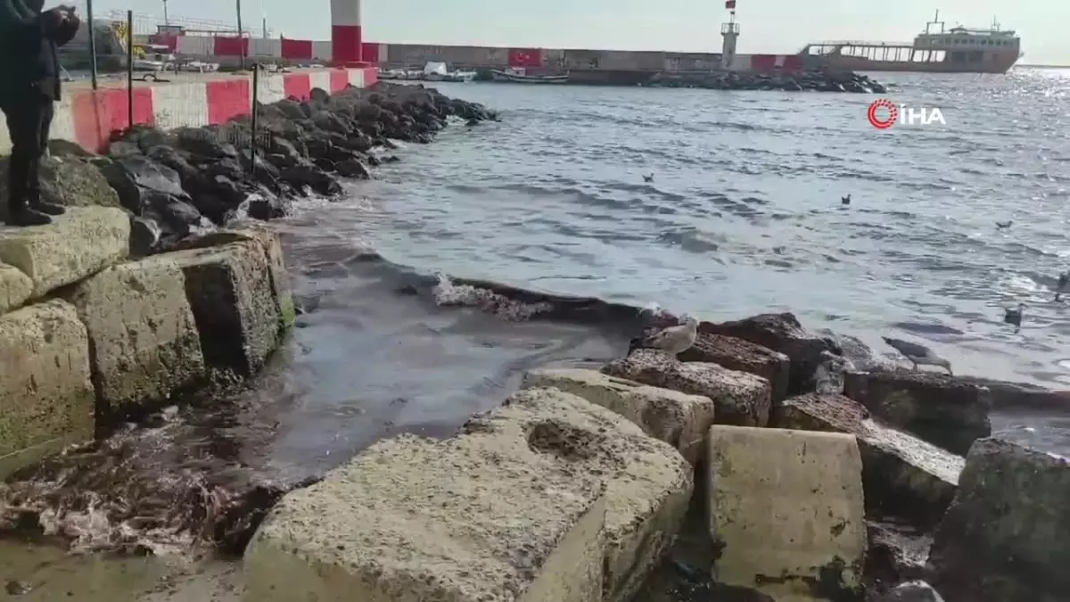 Poyraz Fırtınası Kıyıları Kızıl Yosunlarla Doldurdu