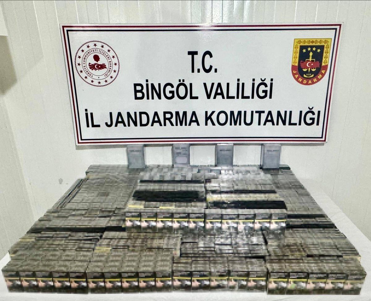 Bingöl\'de Dolandırıcılık Operasyonu