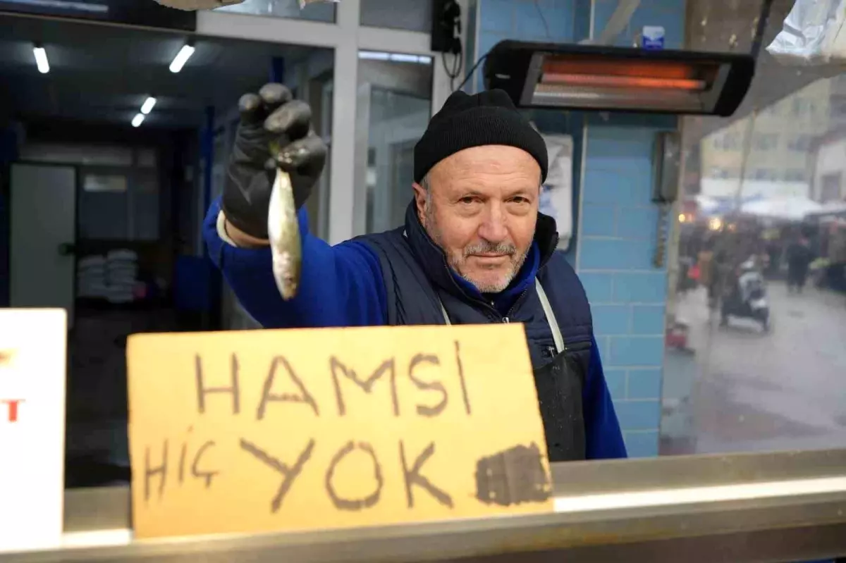 Bolu\'da Hamsi Yokluğu Fiyatları Yükseltti