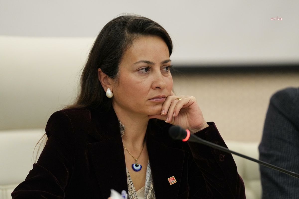 CHP Manisa İl Başkanı\'ndan Rıza Akpolat\'ın Gözaltına Alınmasına Tepki