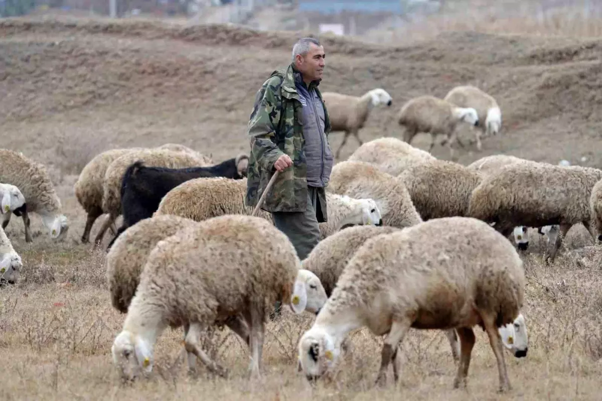 Şehirden Köye: Kazım Bozkurt’un Huzurlu Yaşamı