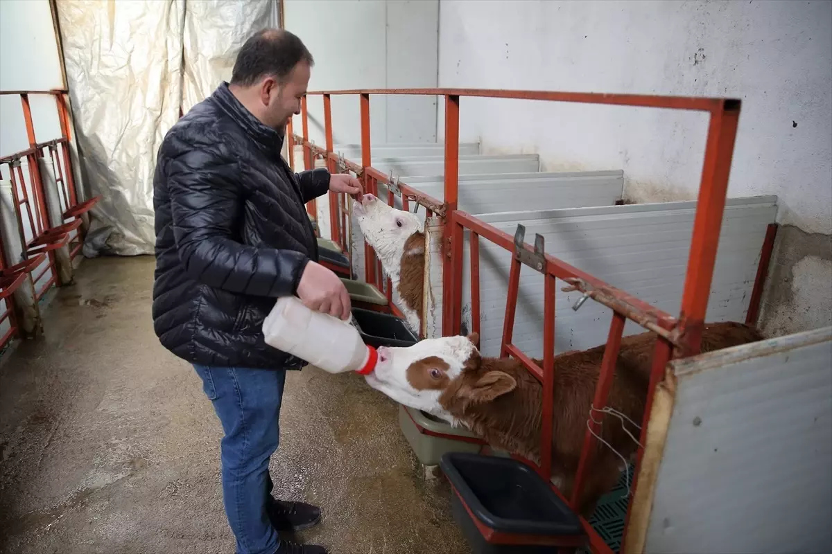 Çorumlu Kardeşler Hayallerindeki Çiftliği Kurdu