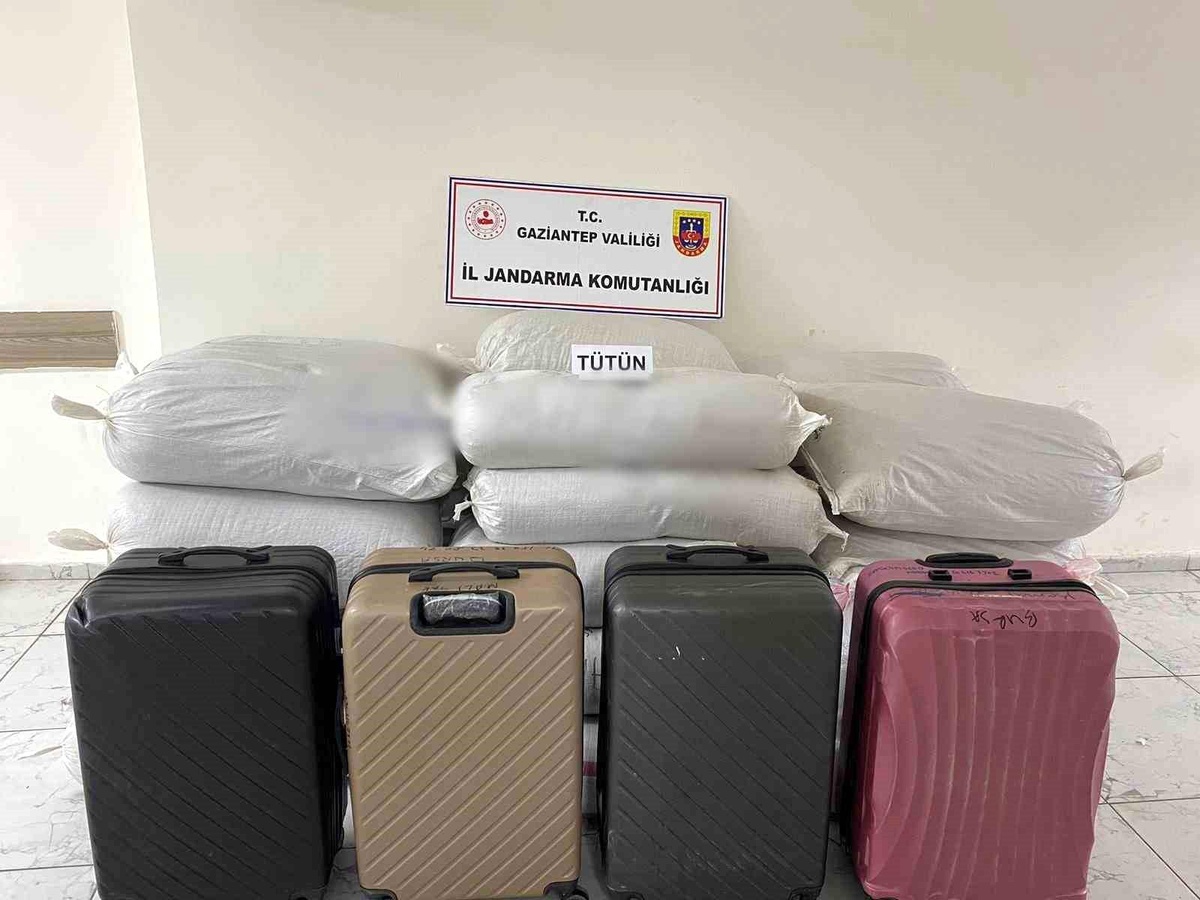 Gaziantep\'te 1 Ton 750 Kg Kaçak Tütün Ele Geçirildi