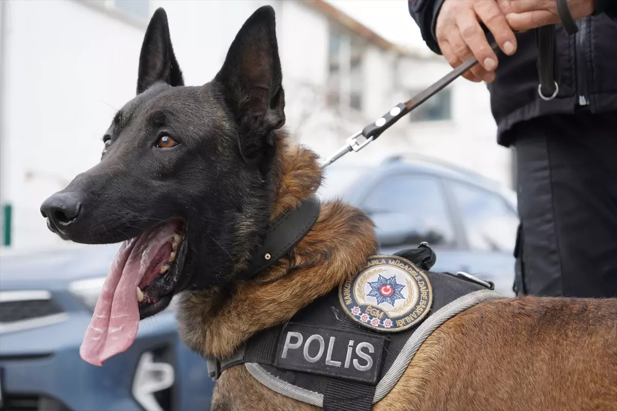 Milon, Aralık Ayının Narkotik Köpeği Seçildi