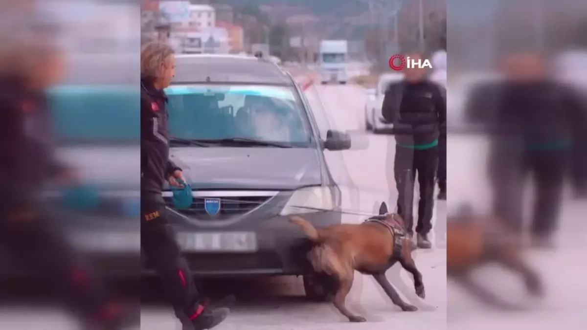 Milon, Üçüncü Kez \'Ayın Köpeği\' Seçildi