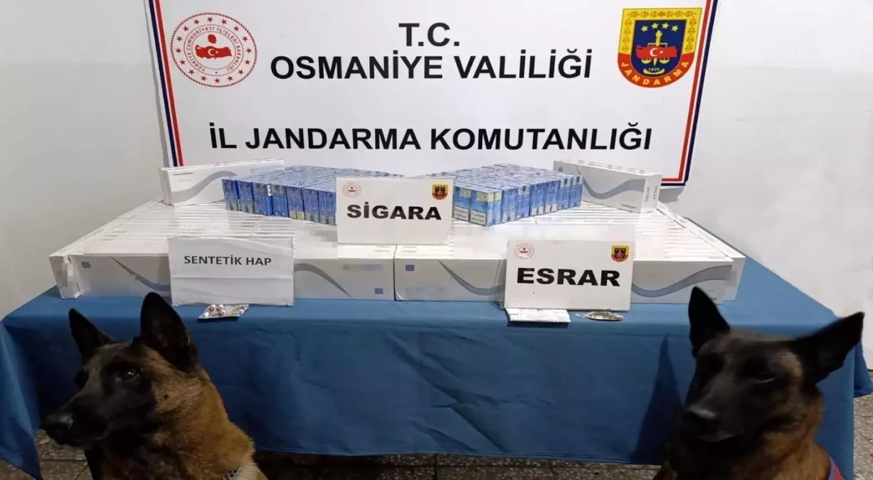 Osmaniye\'de Jandarma Operasyonu: 107 Gözaltı