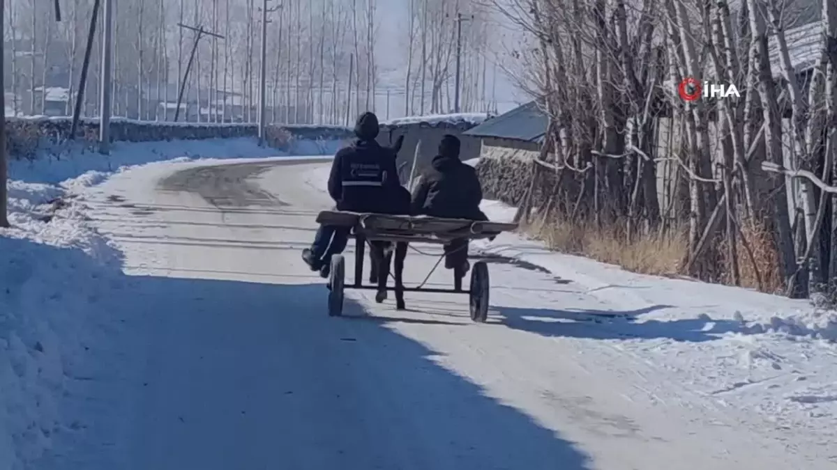 Van\'da Besiciler Kış Mevsiminde Zorlu Şartlarla Mücadele Ediyor