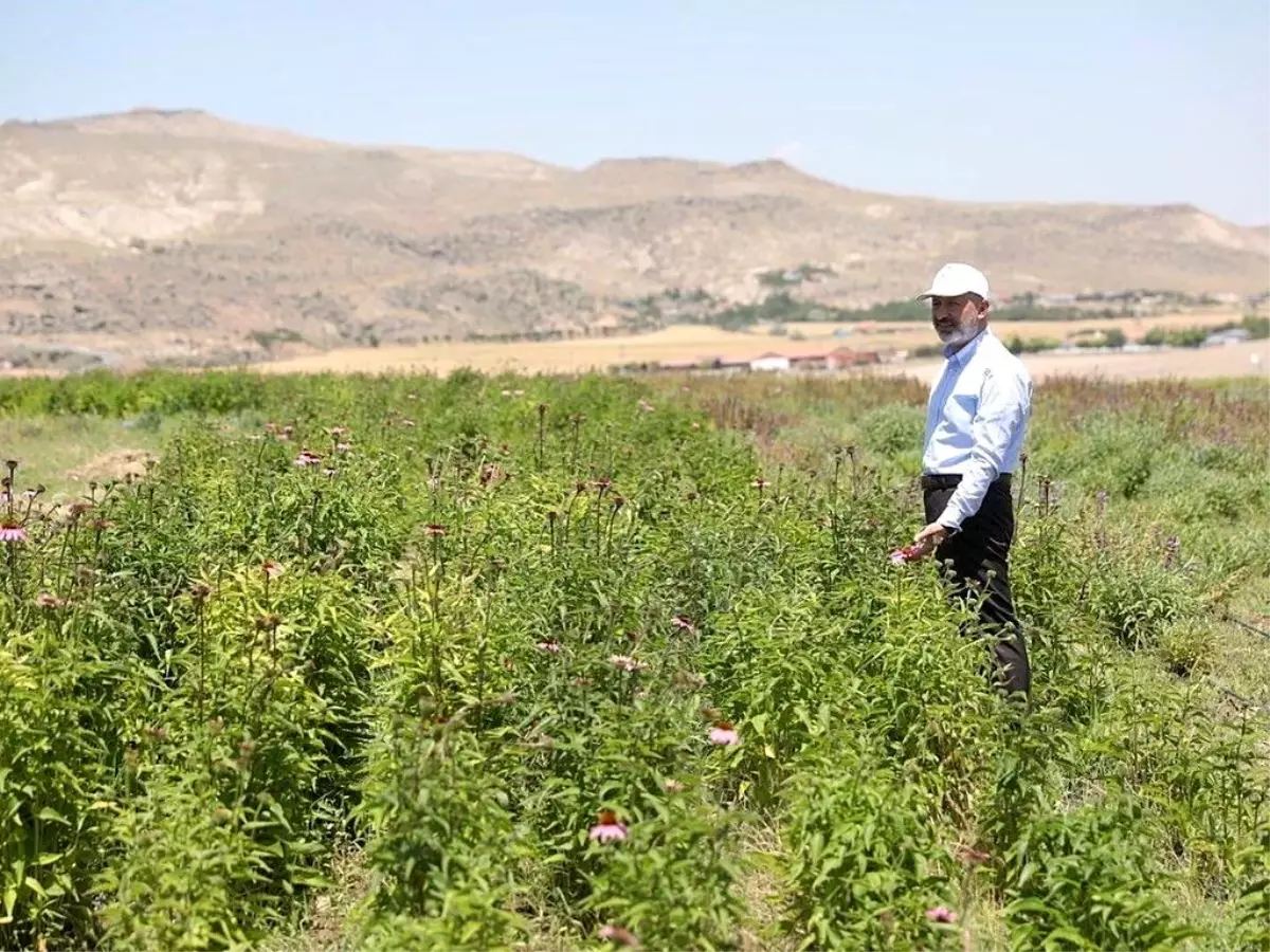 Kocasinan Tarımda Dönüşüm Yaşıyor