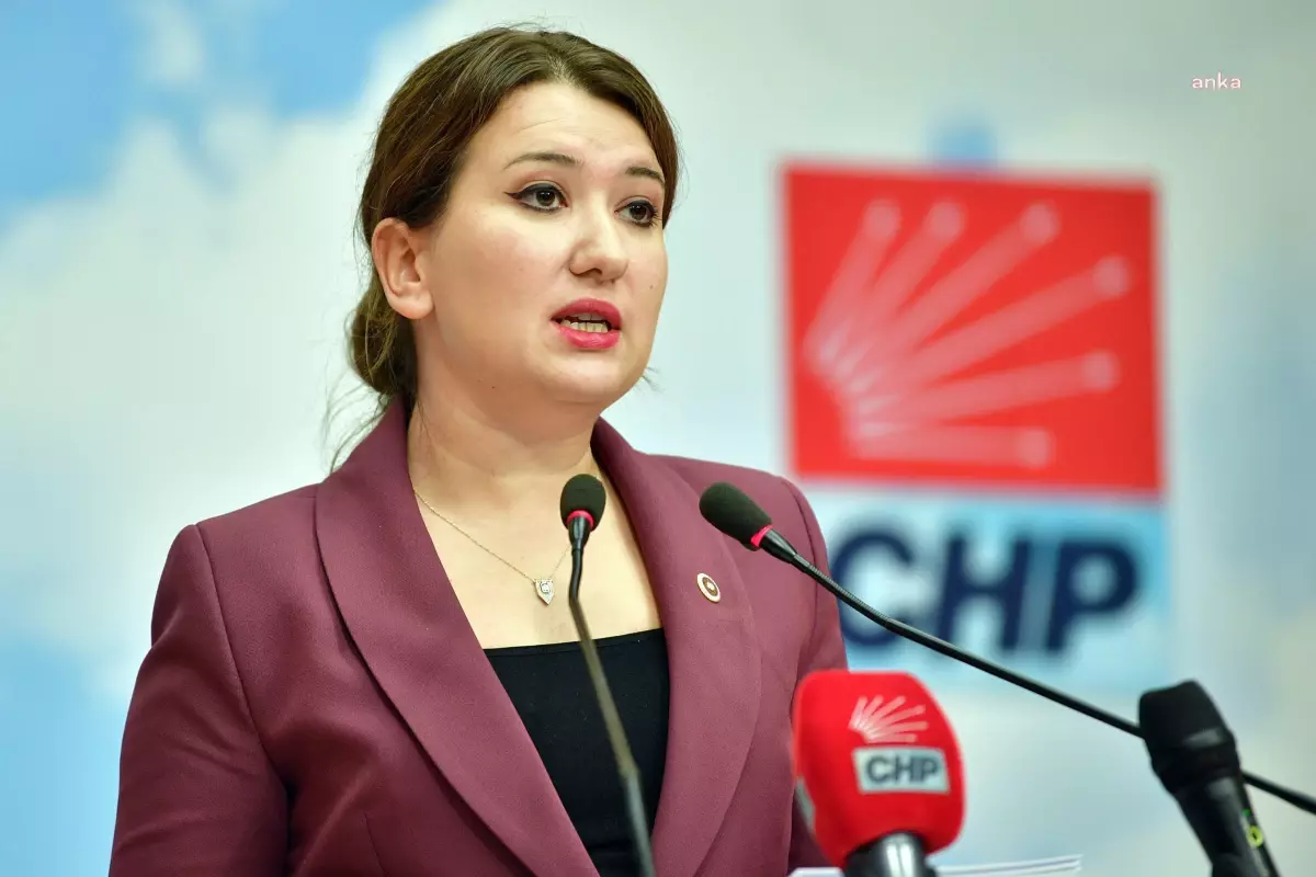 CHP\'den Rıza Akpolat\'ın Tutuklama Talebine Tepki