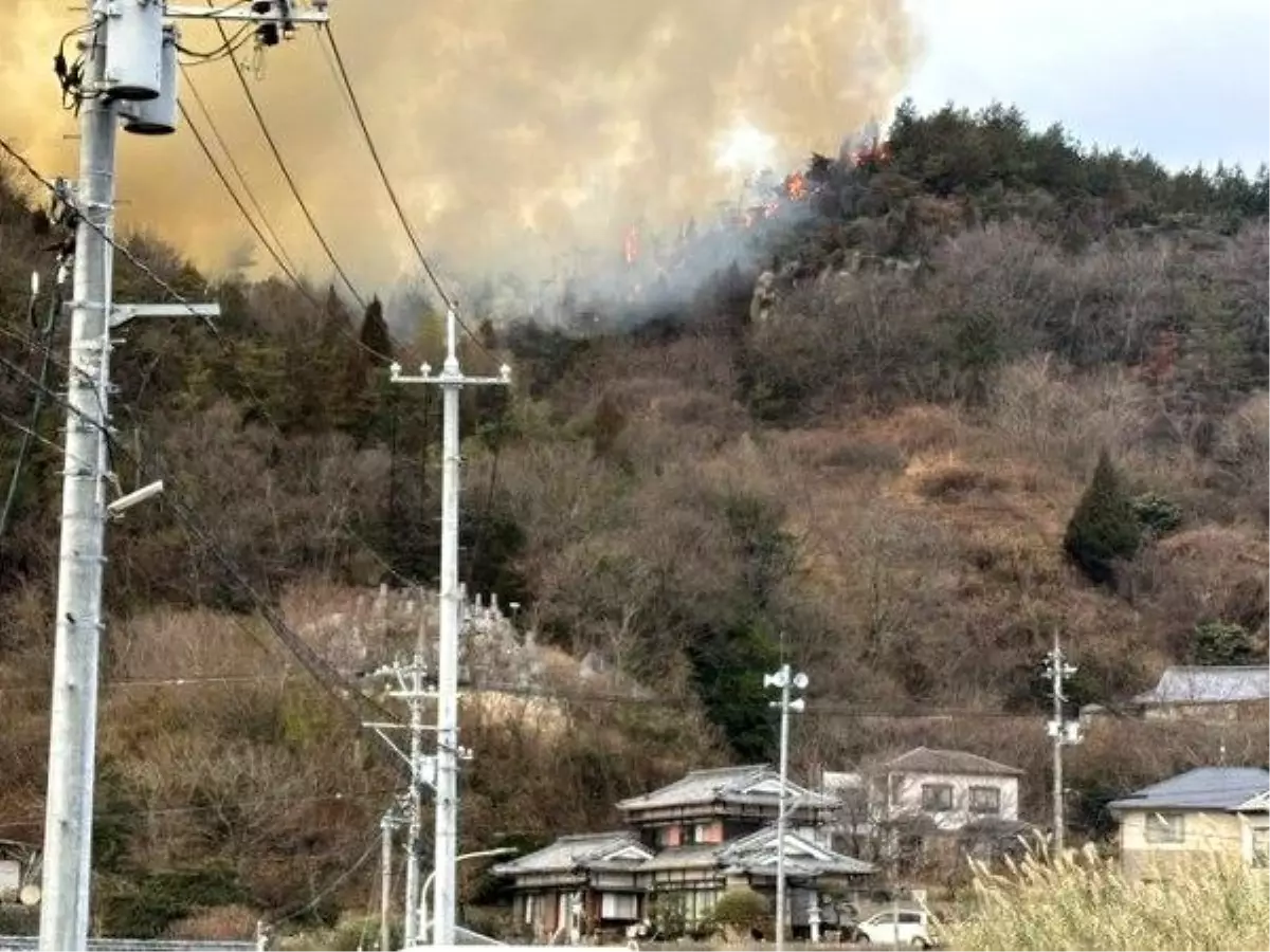 Japonya\'da Orman Yangını: 150 Kişi Tahliye Edildi