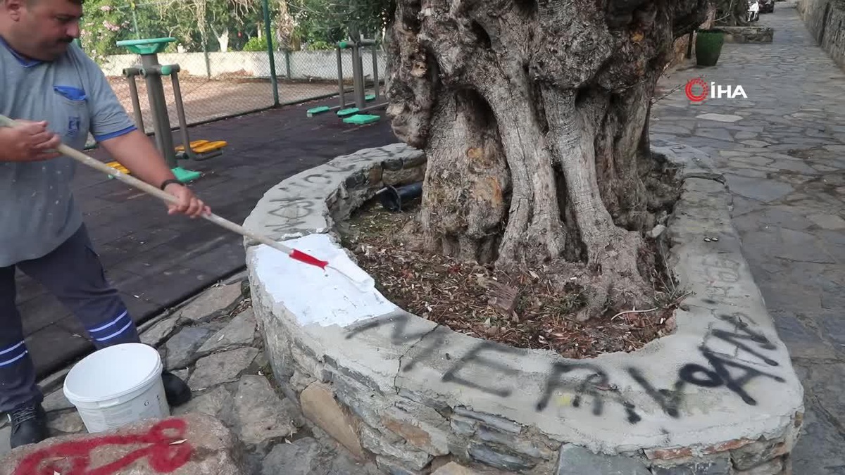 Bodrum Belediyesi Görüntü Kirliliğine Son Vermek İçin Temizlik Çalışmaları Yapıyor