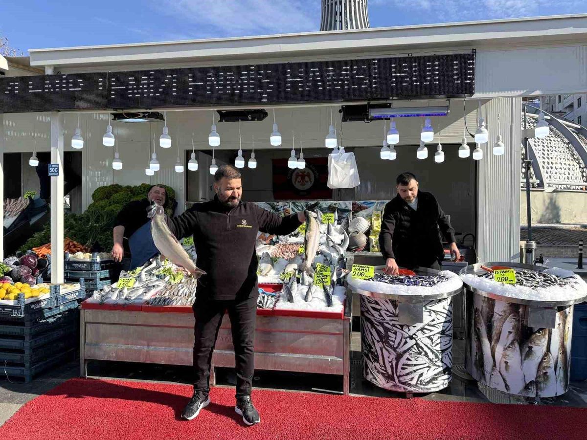 Çorum\'da balıkçılar yeni yerinde