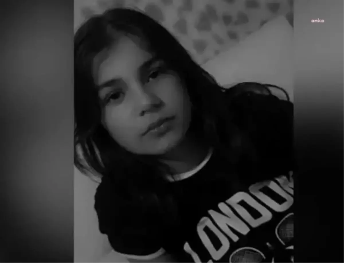 Sokak Köpekleri Saldırdı: 12 Yaşındaki Çocuk Hayatını Kaybetti