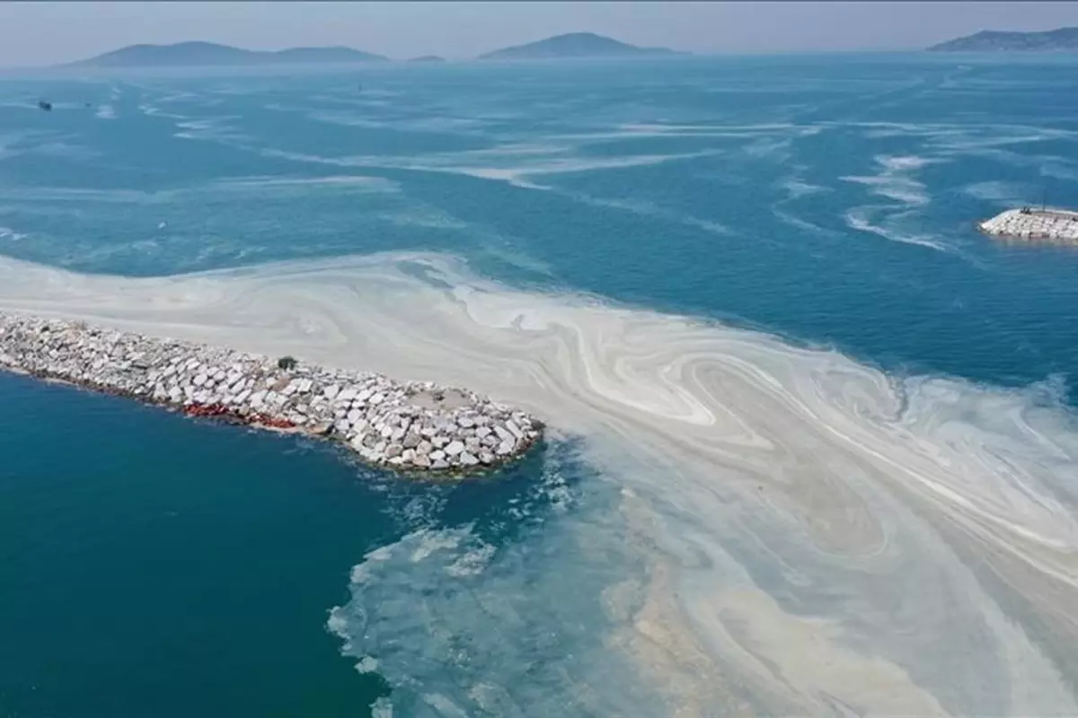 Marmara Denizi\'nde musilaj alarmı! Uzmanlardan dikkat çeken uyarılar