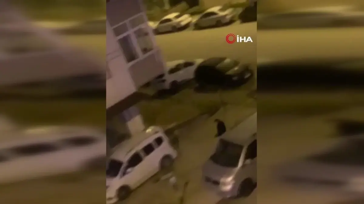 Kaldırım Taşı Fırlatan Şahıs Gözaltında