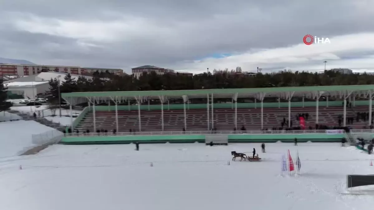 Erzurum\'da Atlı Kızak Şöleni