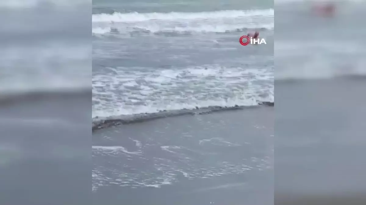 Kahraman Polis Hayat Kurtardı