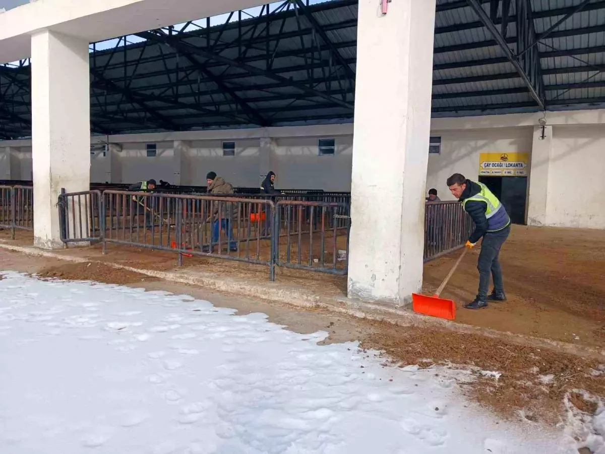 Bayburt Canlı Hayvan Pazarı Yarın Yeniden Açılıyor