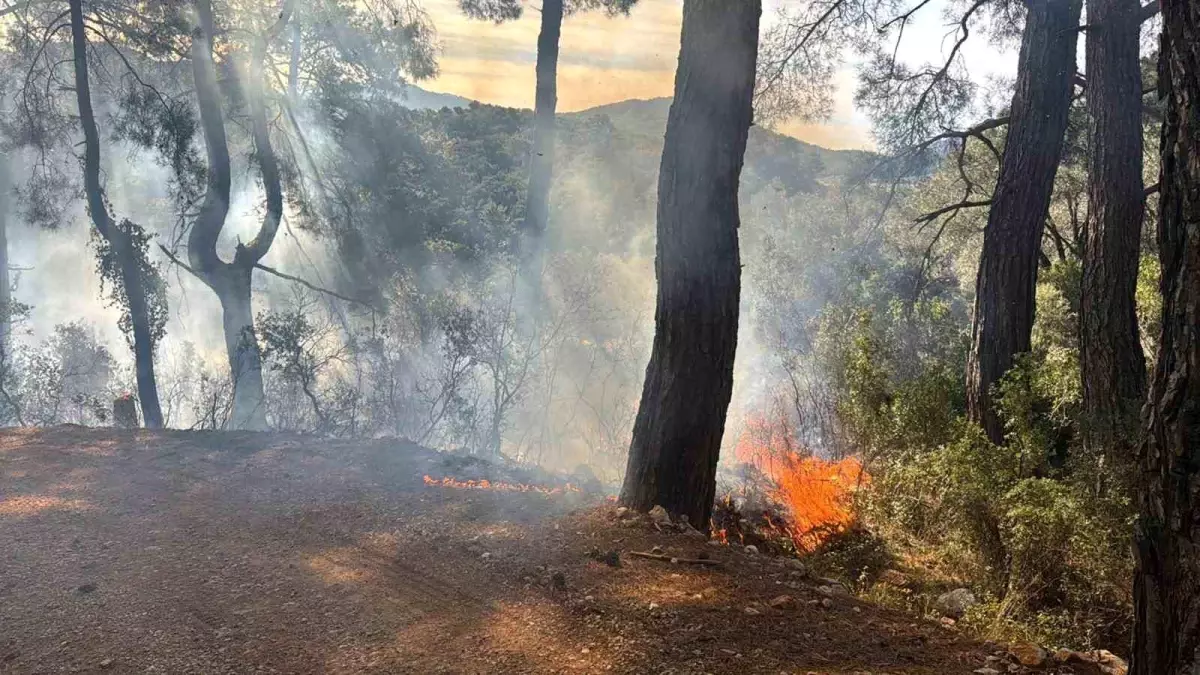 Fethiye\'de Çıkan Orman Yangını Zamanında Söndürüldü