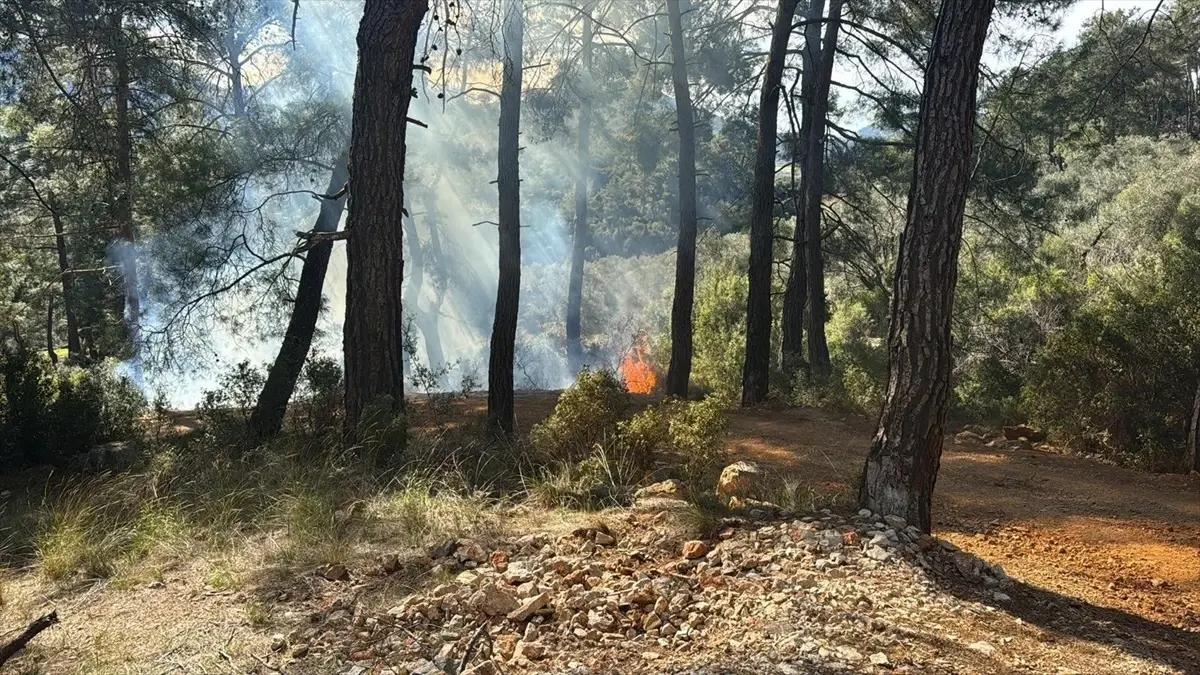 Fethiye\'de Orman Yangını Kontrol Altına Alındı