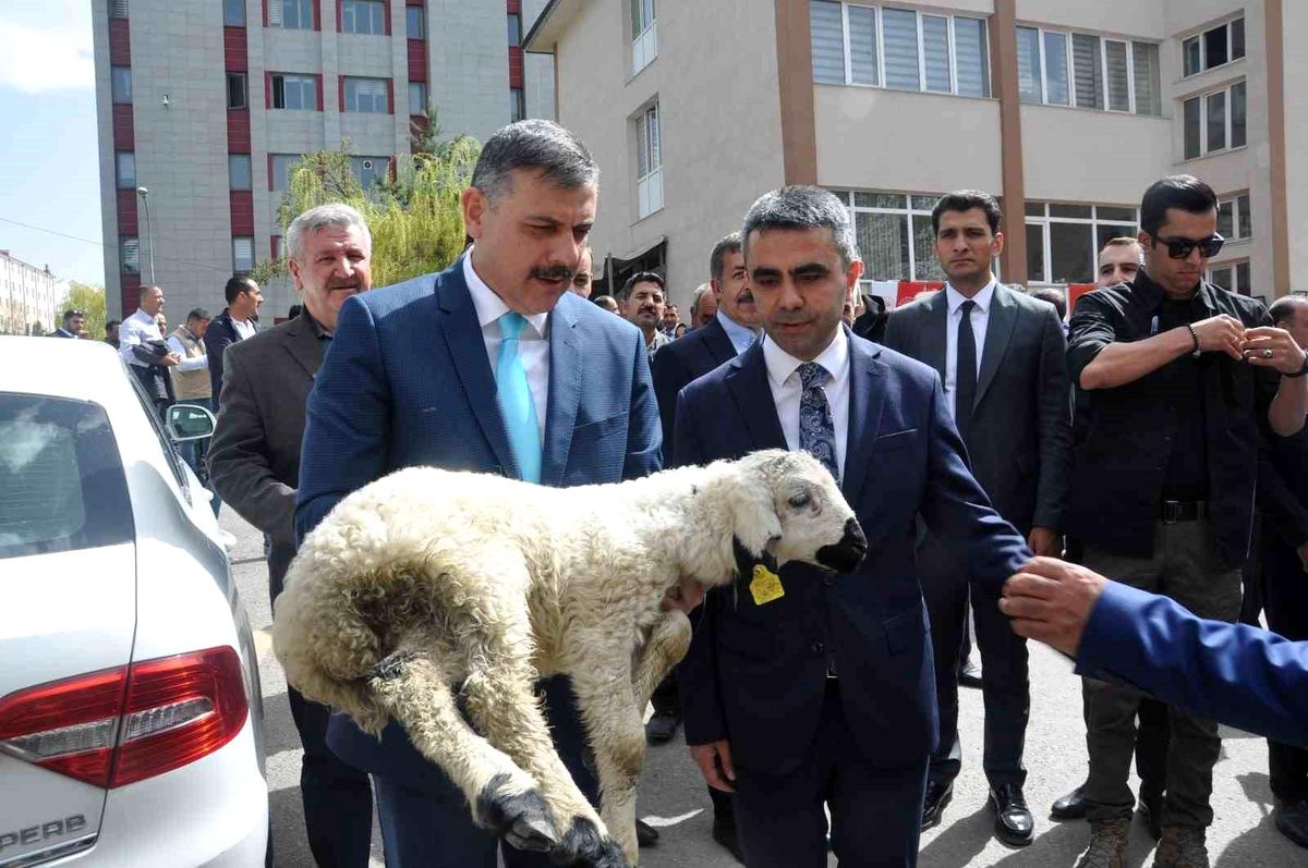 Erzurum\'da Tarıma 110 Milyon TL Destek