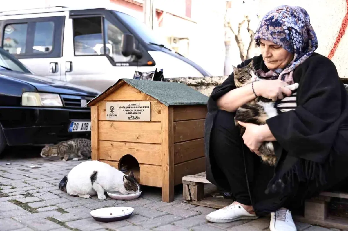 Denizli Başkanı Çavuşoğlu\'ndan Sokak Hayvanlarına Destek