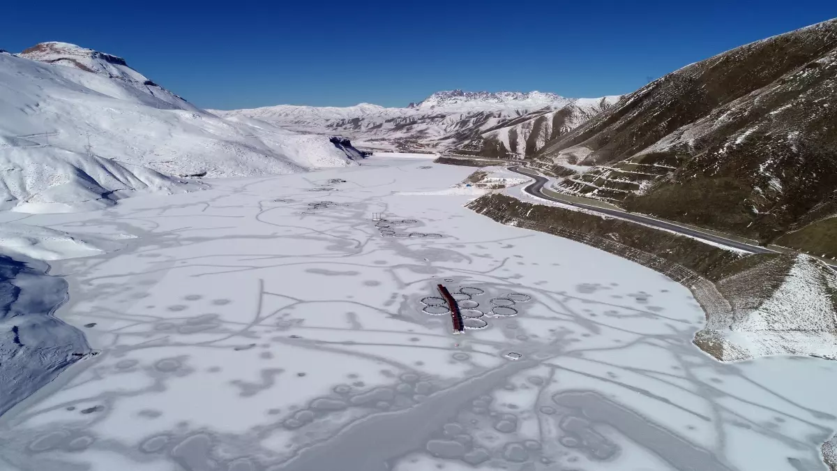 Zernek Baraj Gölü Dondu, Balıklar Buz Altında Kaldı