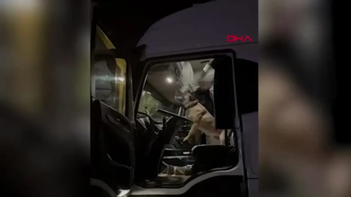 Kapıkule Sınır Kapısı\'nda Uyuşturucu Operasyonu: 30 Milyon Lira Değerinde Madde Ele Geçirildi