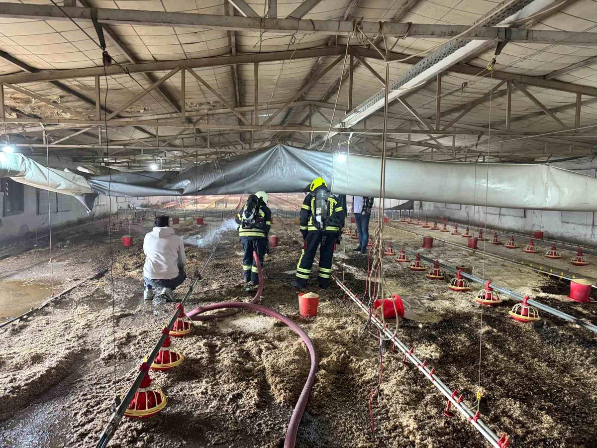 Mersin Tarsus\'ta Boş Tavuk Üretim Merkezinde Yangın Çıktı