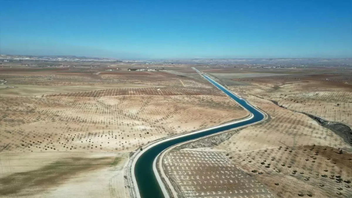 Cansuyum Projesi Nizip’te Hayata Geçti