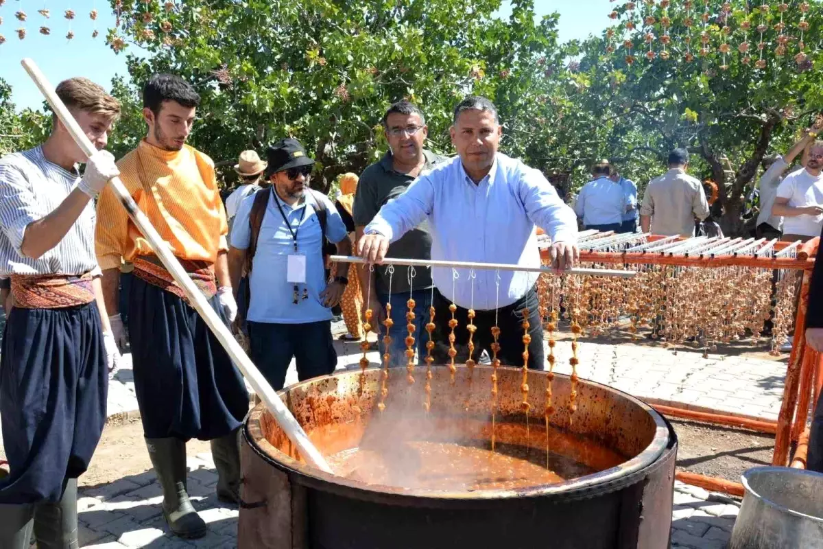 Gaziantep\'te üzüm üretiminde 5\'inci sırada