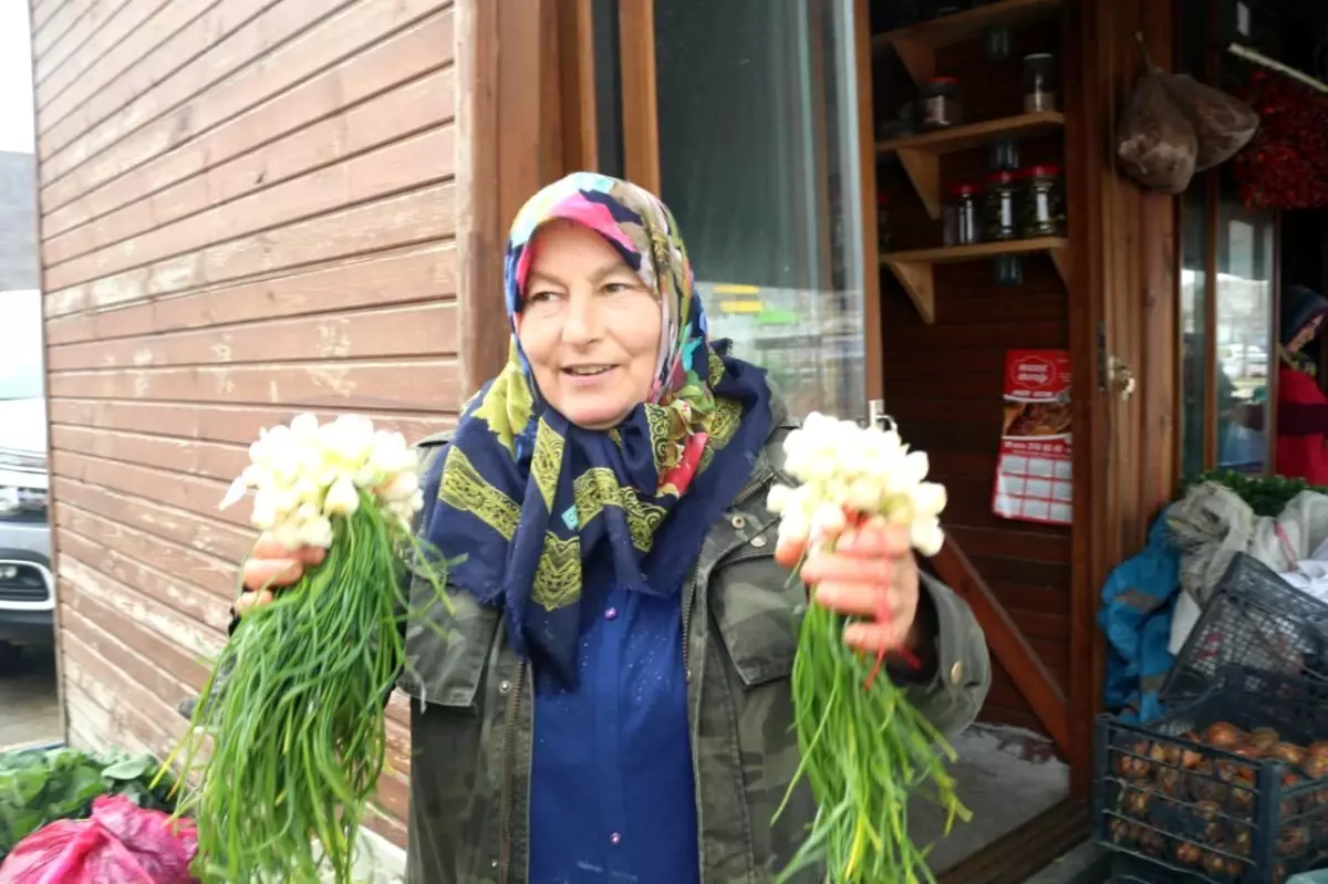 Köy Kadınları Organik Ürünlerle Şehir Pazarlarında Yer Alıyor