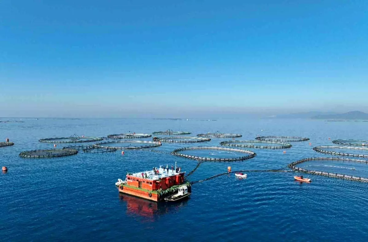 Muğla\'dan Su Ürünleri İhracatında Rekor