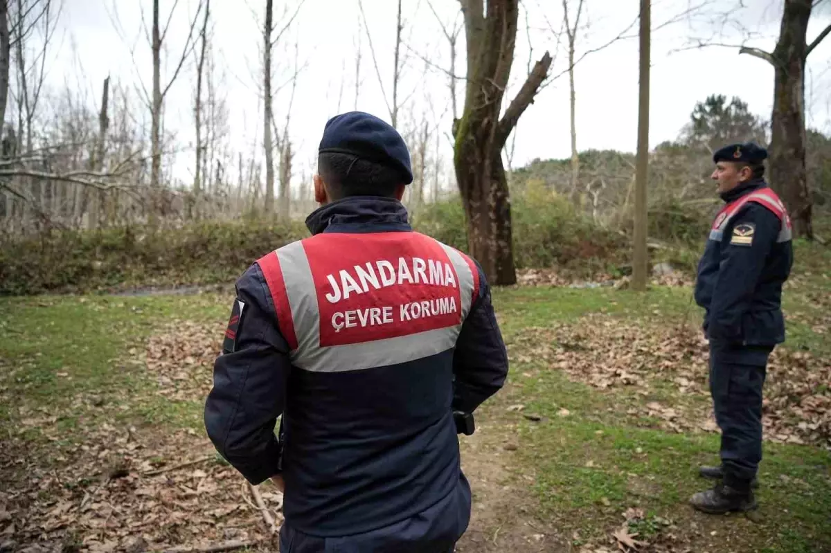 Kaçan Ayı 9 Gün Sonra Yakalandı