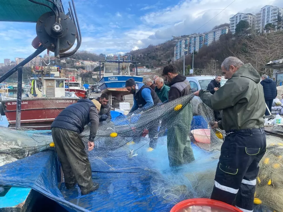 Zonguldak\'ta Lüfer Avında Bolluk Yaşanıyor