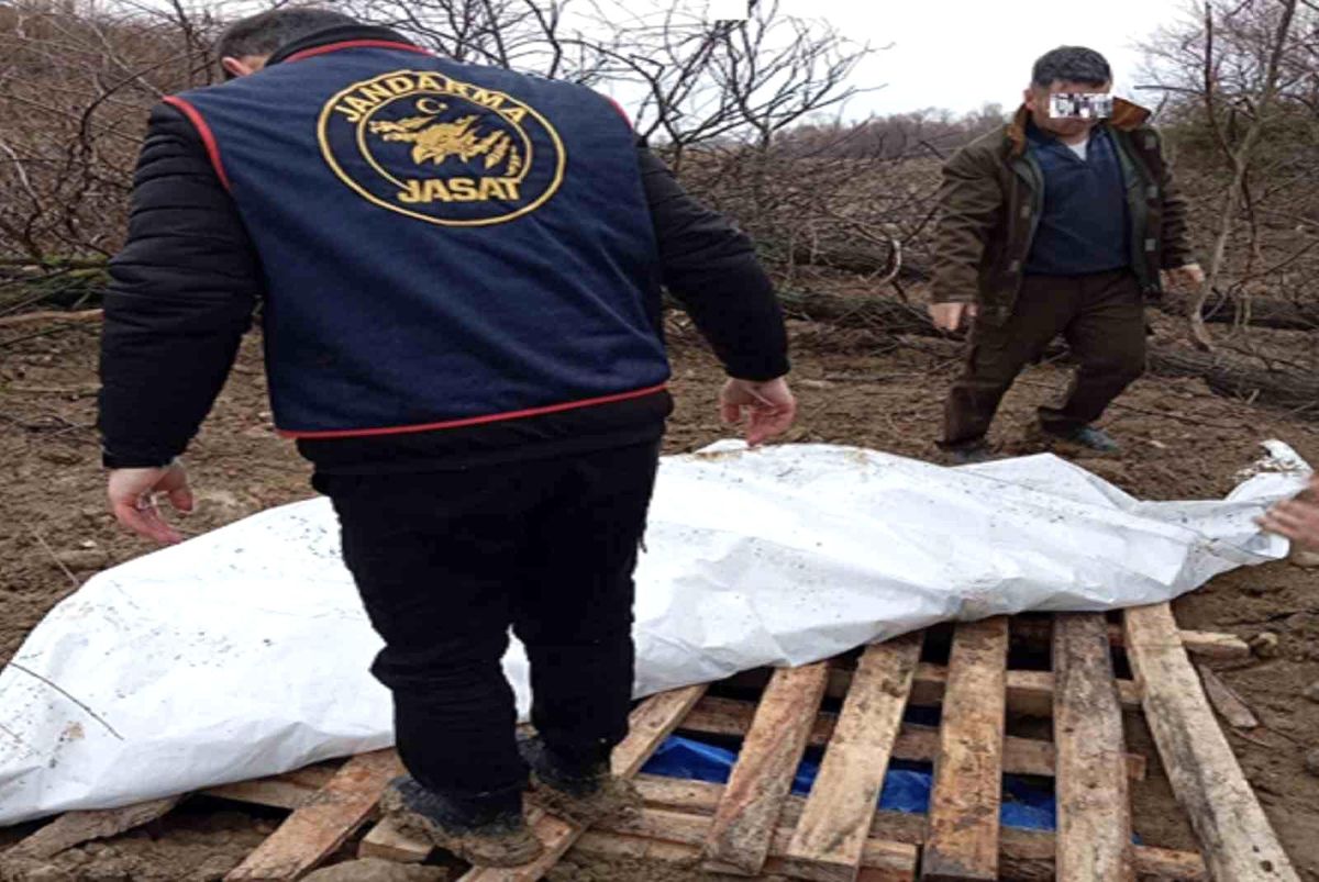 Çalınan Traktör Saklandı, İhbarcı Gözaltına Alındı