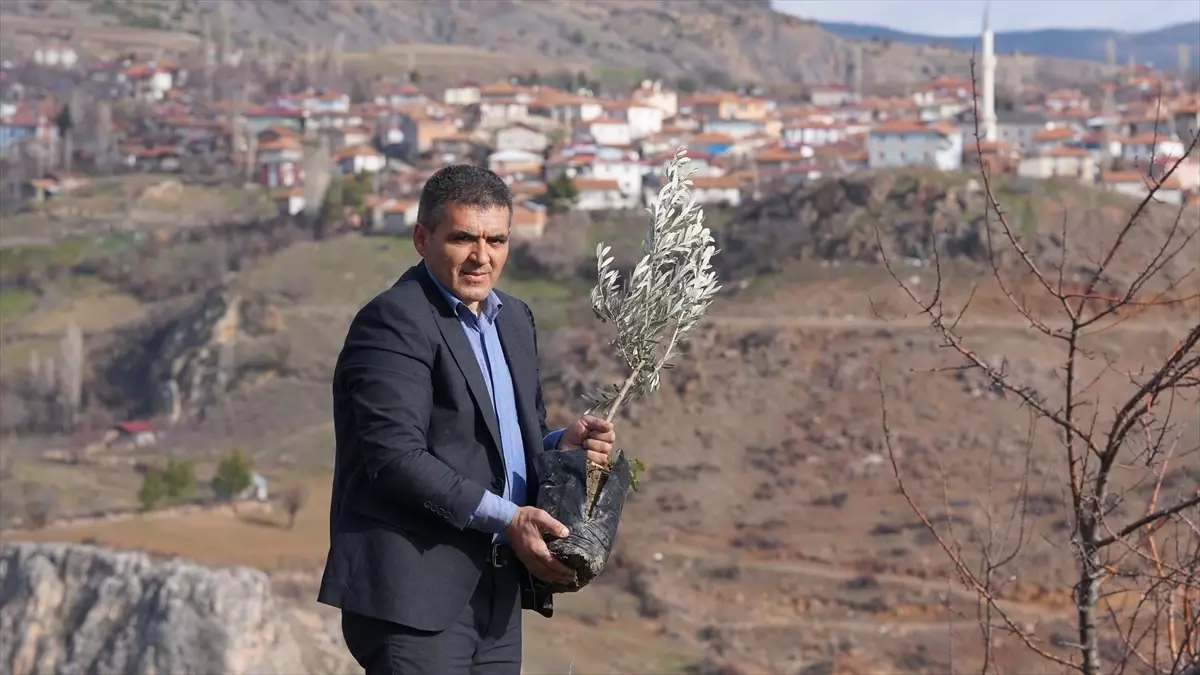 Yaylabaşı\'nda Her Bebek İçin Fidan