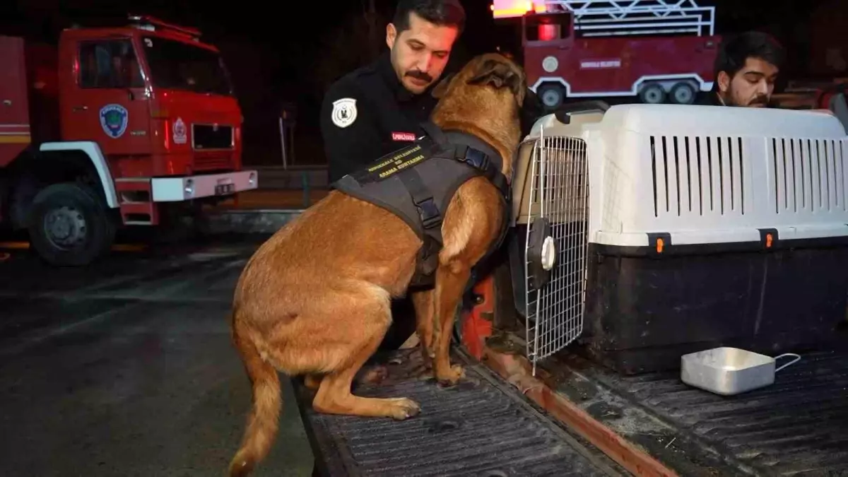 Kırıkkale\'den Konya\'ya K9 Köpekleriyle Kurtarma Desteği