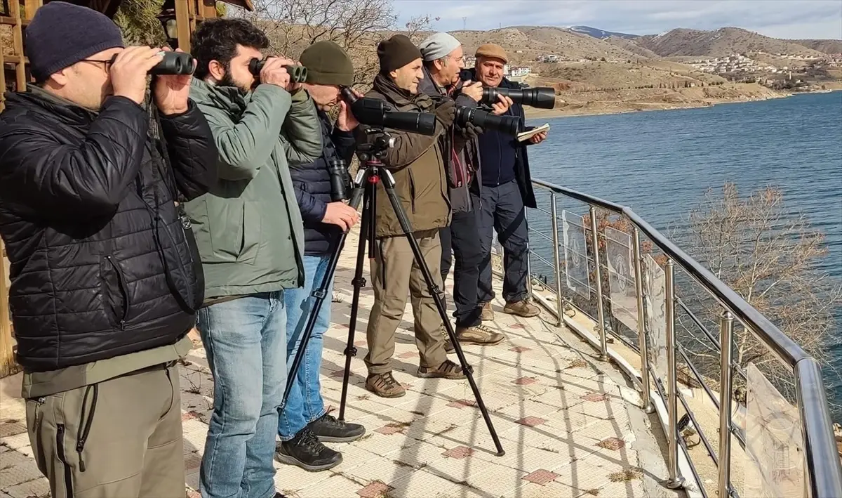 Elazığ\'da Su Kuşu Sayımı Başladı