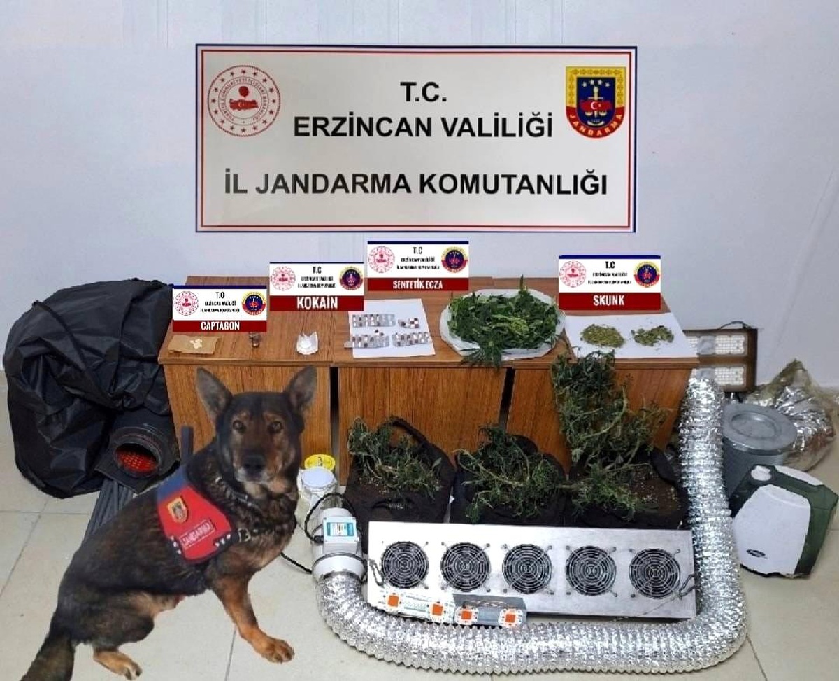 Erzincan Jandarması 2024\'te 2425 Olay Aydınlattı