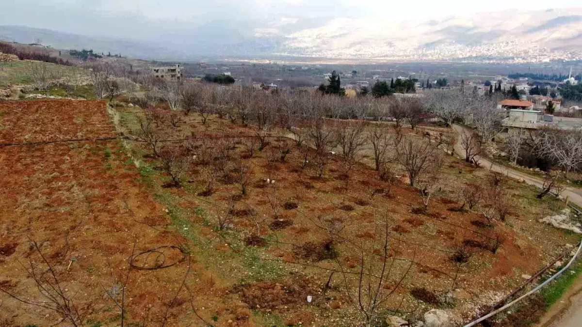 Çiftçiler Yeniden Hayata Dönüyor