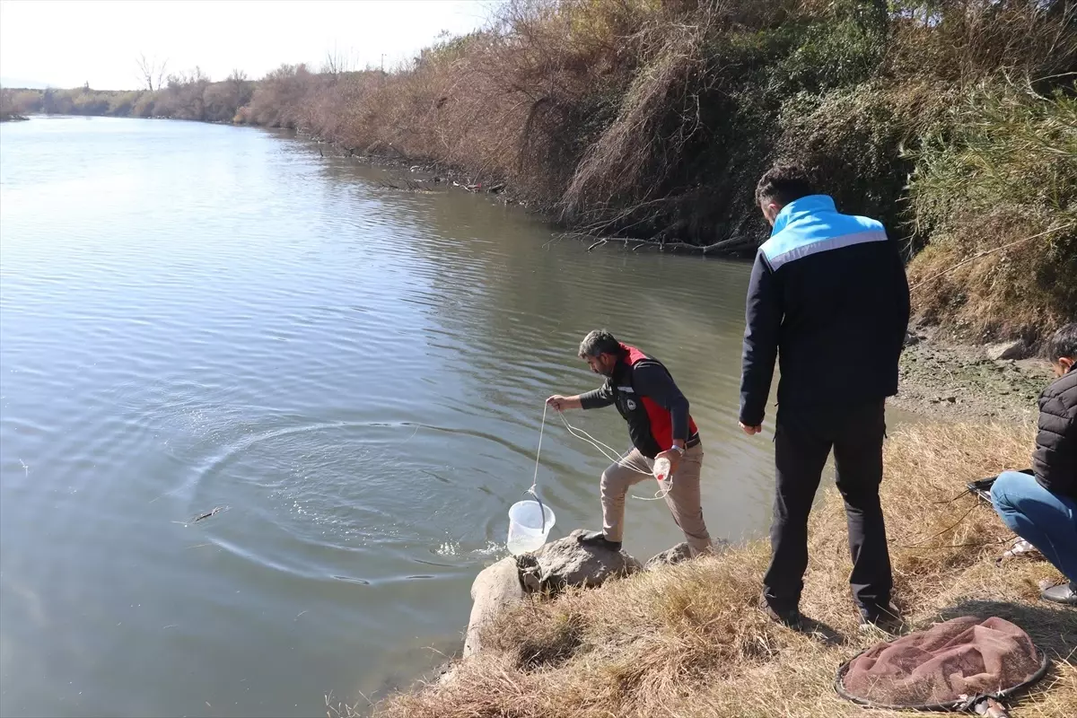 Ceyhan Nehri\'nde Balık Ölümleri İnceleniyor