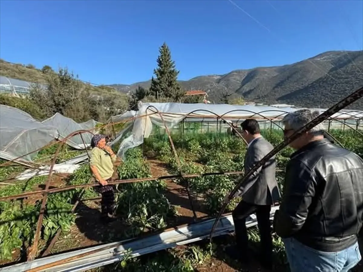 Uslu, Doludan Etkilenen Çiftçileri Ziyaret Etti