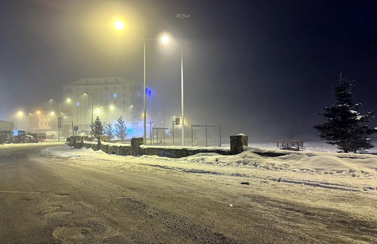 Ardahan\'da Sis Etkili Oldu