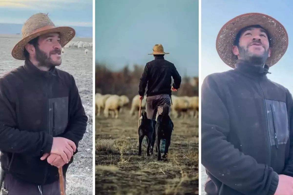 Atanamayan öğretmen, çobanlık yaparak geçimini sağlıyor